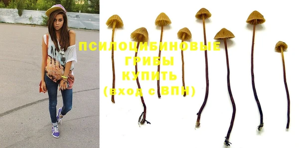 PSILOCYBIN Козельск