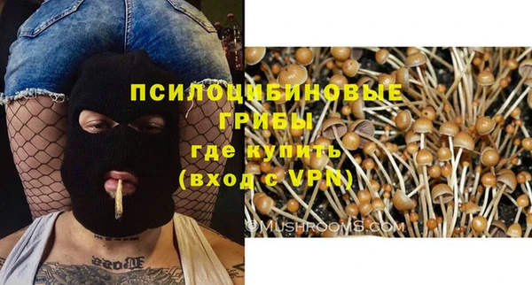 PSILOCYBIN Козельск
