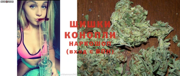 PSILOCYBIN Козельск
